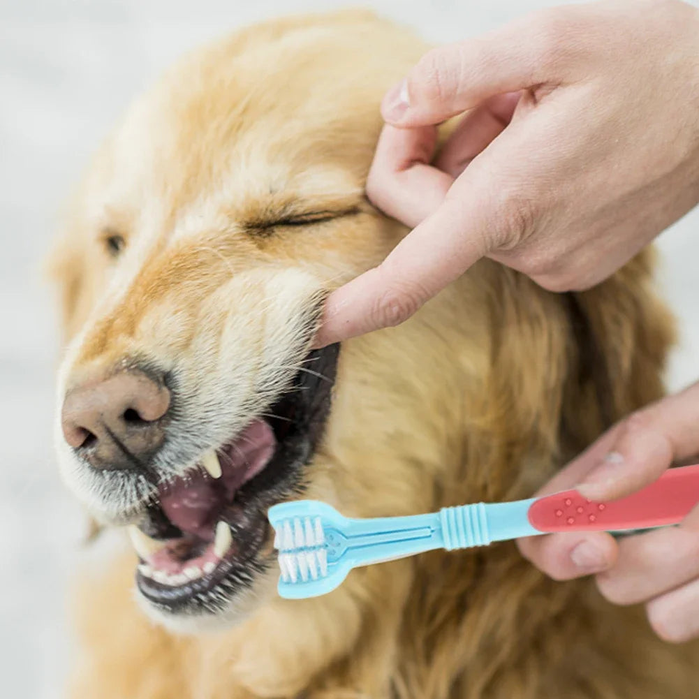3-Sided Pet Toothbrush for Dental Care
