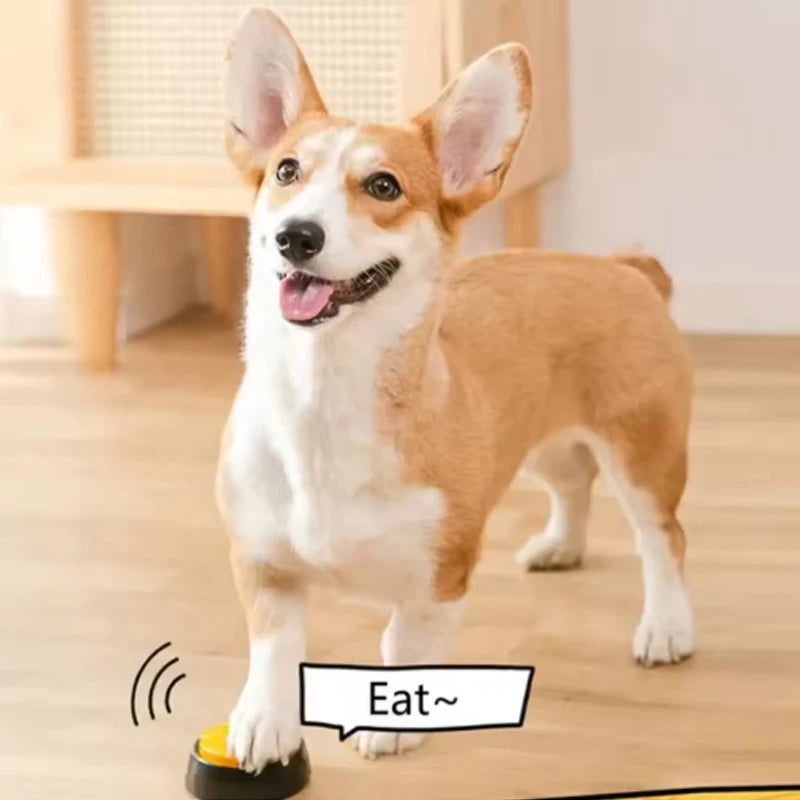 Recordable Talking Dog Toy - Portable Pet Speaking Button Starter Kit