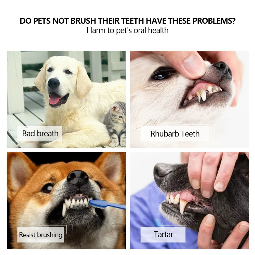 3-Sided Pet Toothbrush for Dental Care