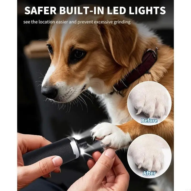 USB Rechargeable Pet Nail Grinder - 3-Speed Painless Trimmer