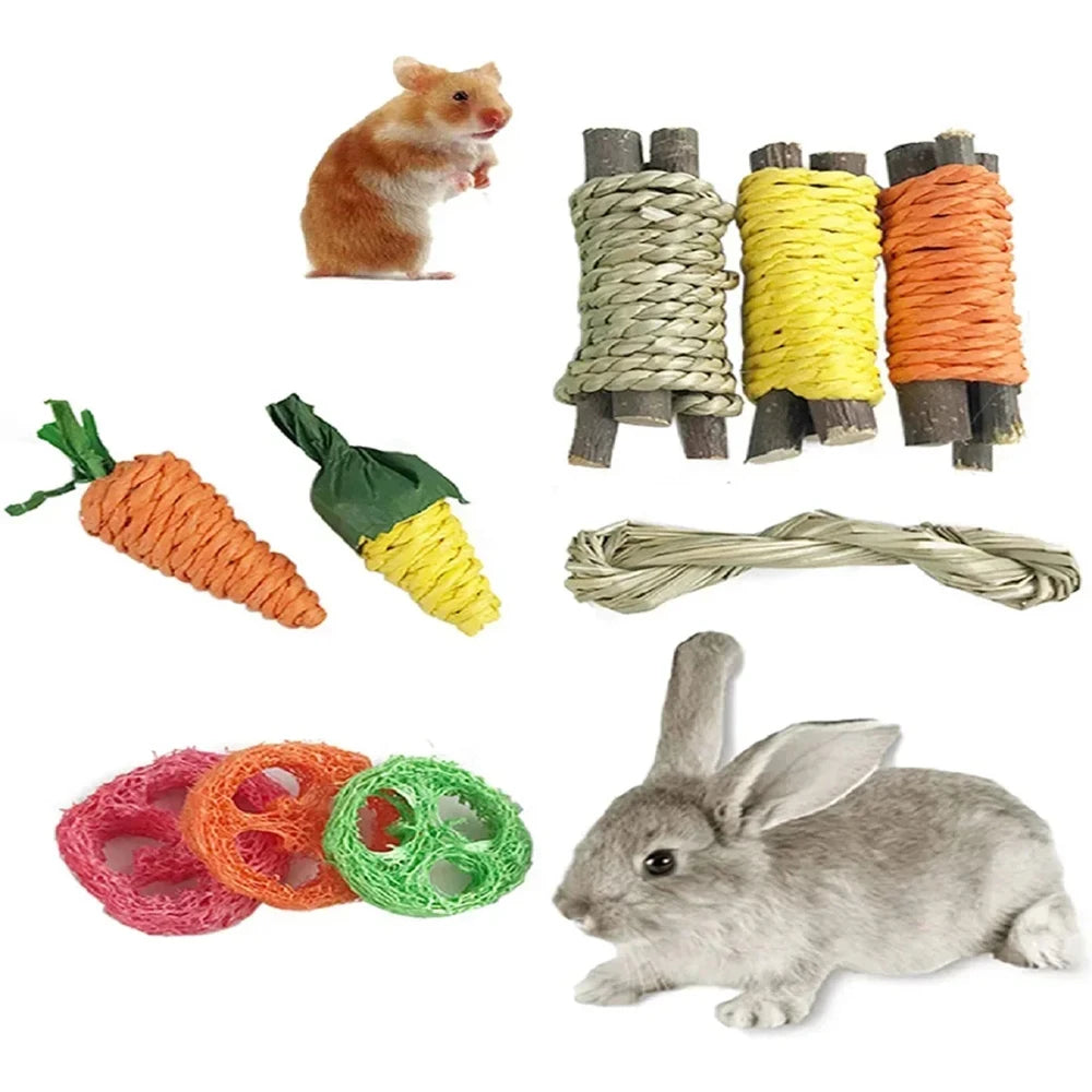 9-Piece Small Pet Chew Toy Set - Fun Grinding Toys for Rabbits & Hamsters