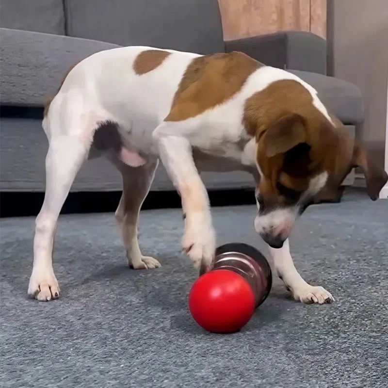 Elliptical Track Ball Puzzle Toy - Interactive Treat Dispensing Toy for Dogs