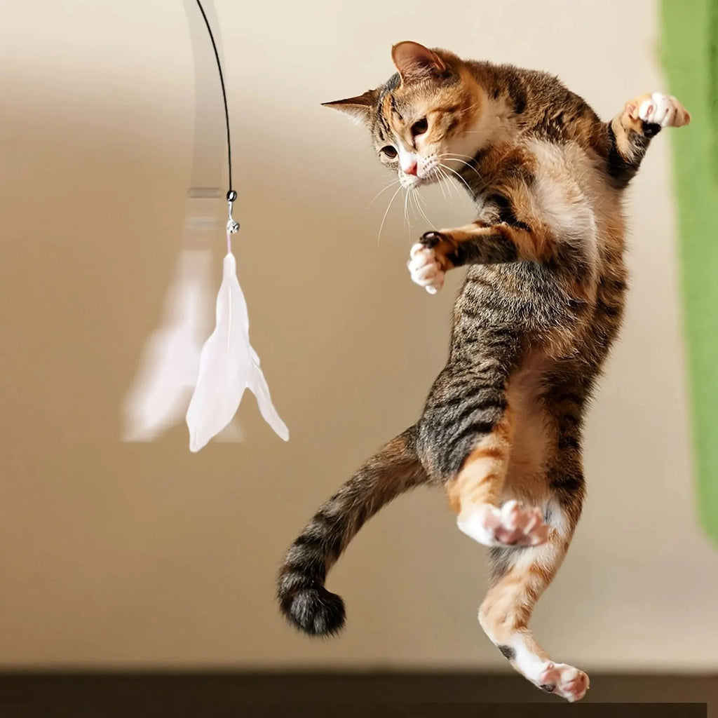 Interactive Cat Teaser Wand - Bell & Feather Toy with Suction Pole