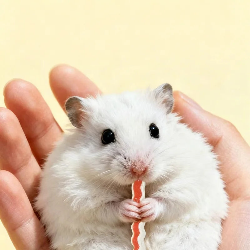 Small Pet Chew & Grinding Toy Set - Snacks for Hamsters & Rabbits