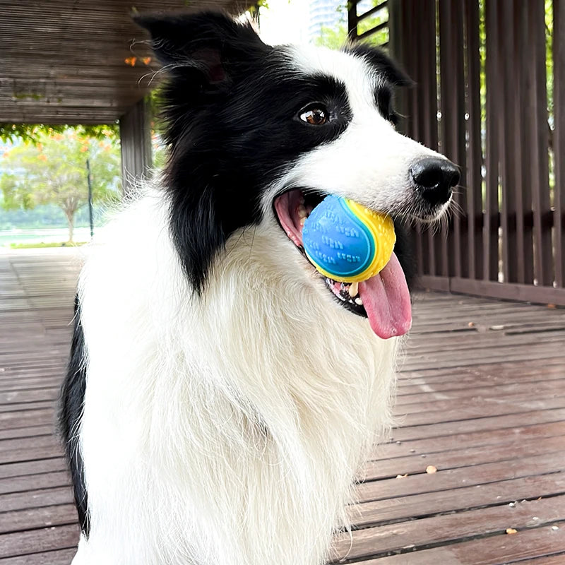 Soft TPR Squeaky Ball Toy - Teeth Cleaning & Bite Resistant Chew Toy for Dogs