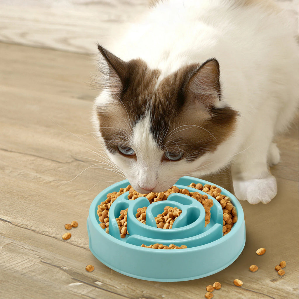 Fun Slow Feeder Puzzle Bowl for Dogs - Anti-Gulping, All Sizes