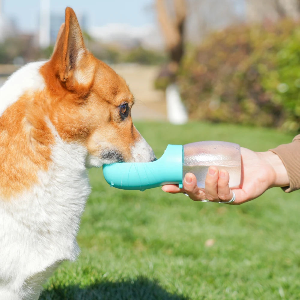 Portable Dog Water Bottle 300ml - Hiking Bowl Feeder for Dogs & Cats