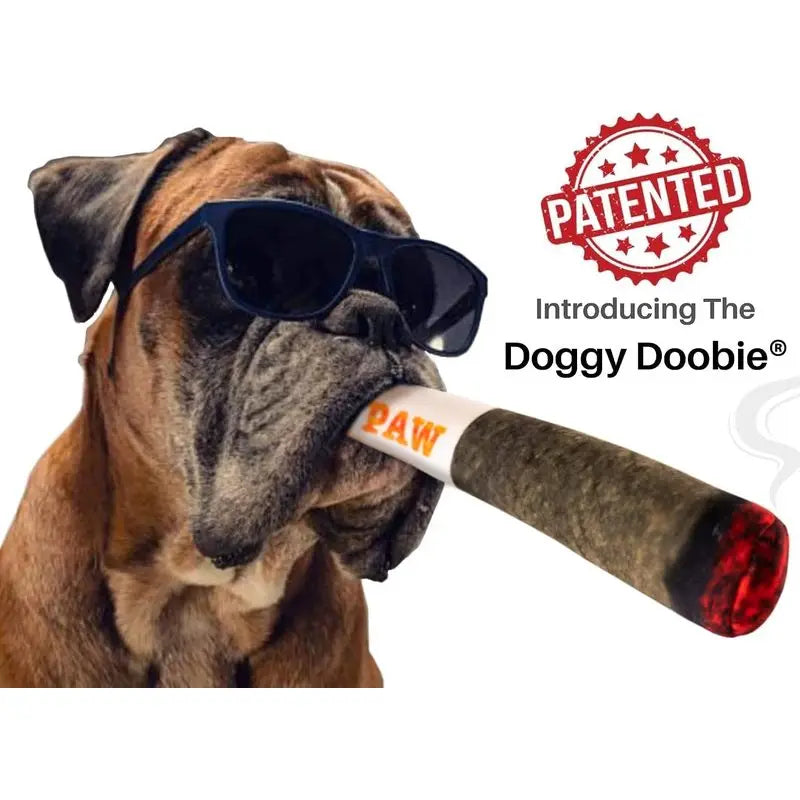 Plush Squeaky Dog Toy - Stuffed Chew Toy for Medium & Large Dogs