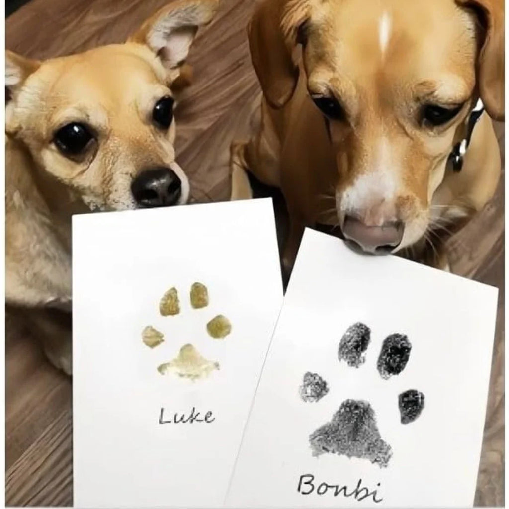 1/2 Set Pet Handprint Footprints Ink Pads Safe Non-toxic No-Touch Skin Inkless Inkpad Kits Pet Cat Dog Paw Prints Souvenirs Gift