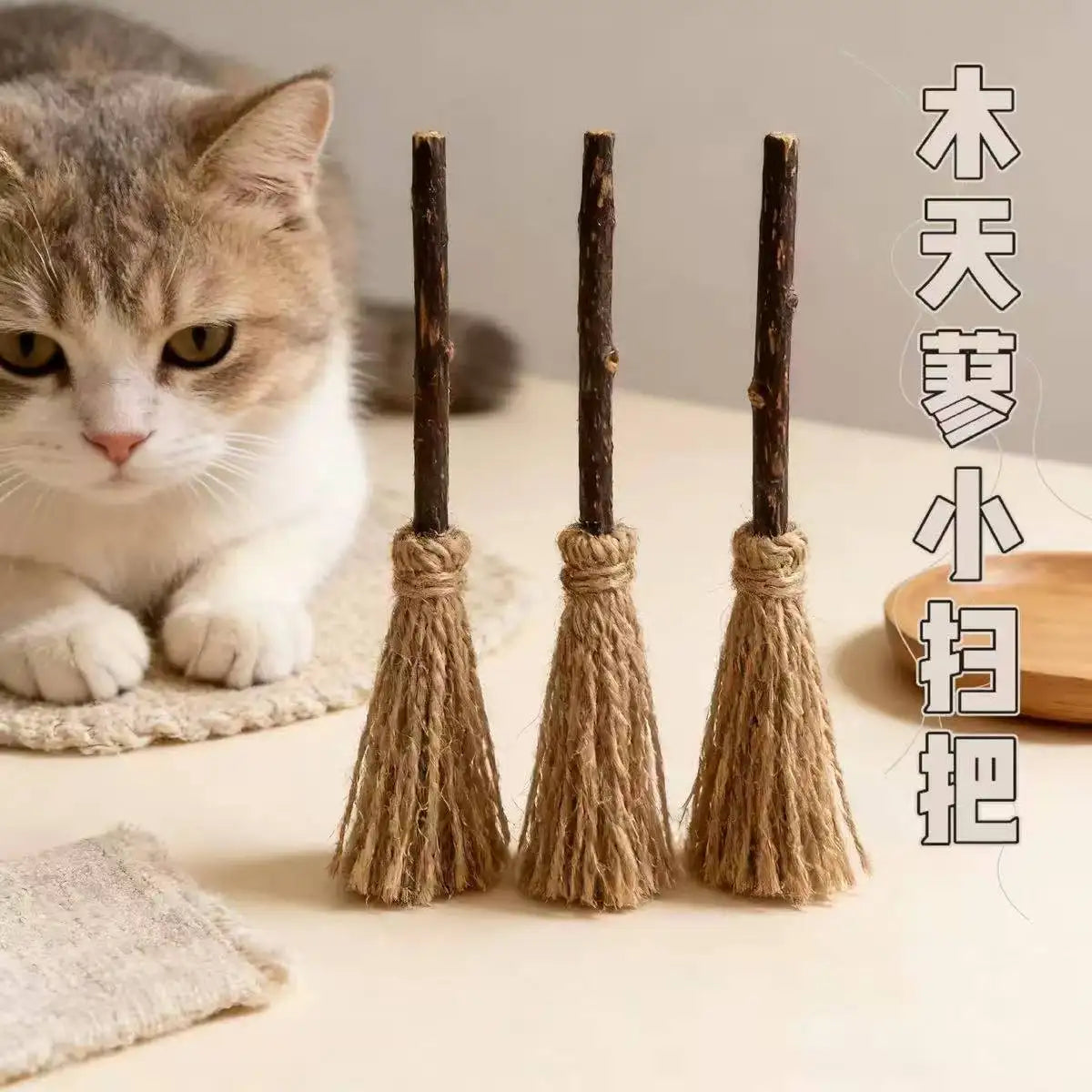 Colorful Spring Toys for Cats - Bouncy Interactive Play Set