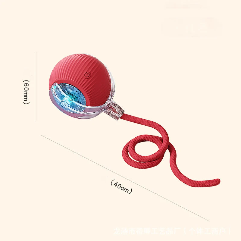 Rechargeable Interactive Rolling Ball for Cats