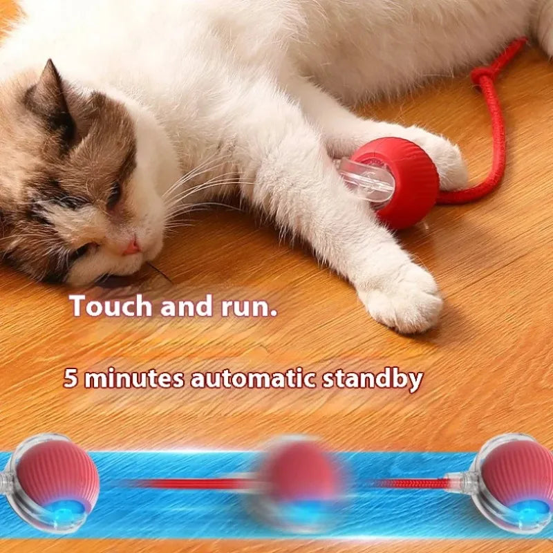 Cat Interactive Ball Toys Automatic Rolling Ball For Kitten Rechargeable Smart Pet Electric Toys With Teaser Sensor Cat Ball Toy