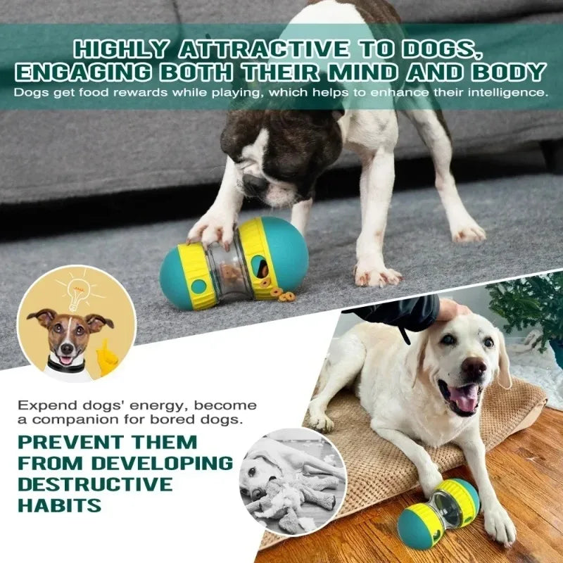 Elliptical Track Ball Puzzle Toy - Interactive Treat Dispensing Toy for Dogs