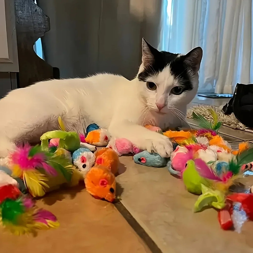 Cat Toy Variety Pack - Mixed Plush & Plastic Toys, 14/28/56pc