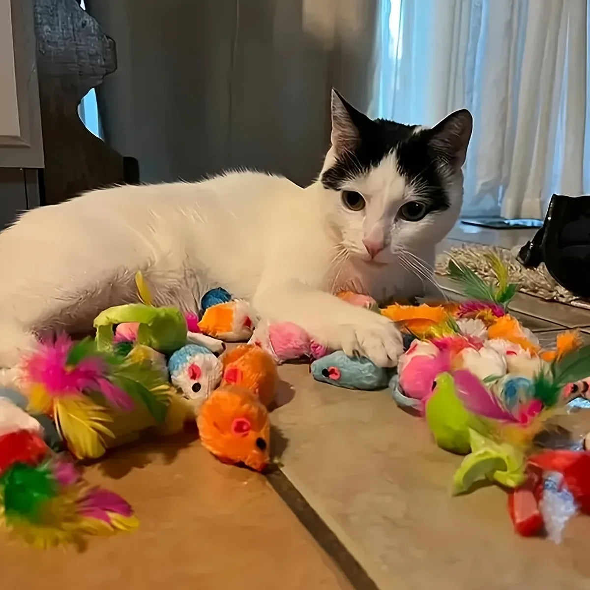 Cat Toy Variety Pack - Mixed Plush & Plastic Toys, 14/28/56pc