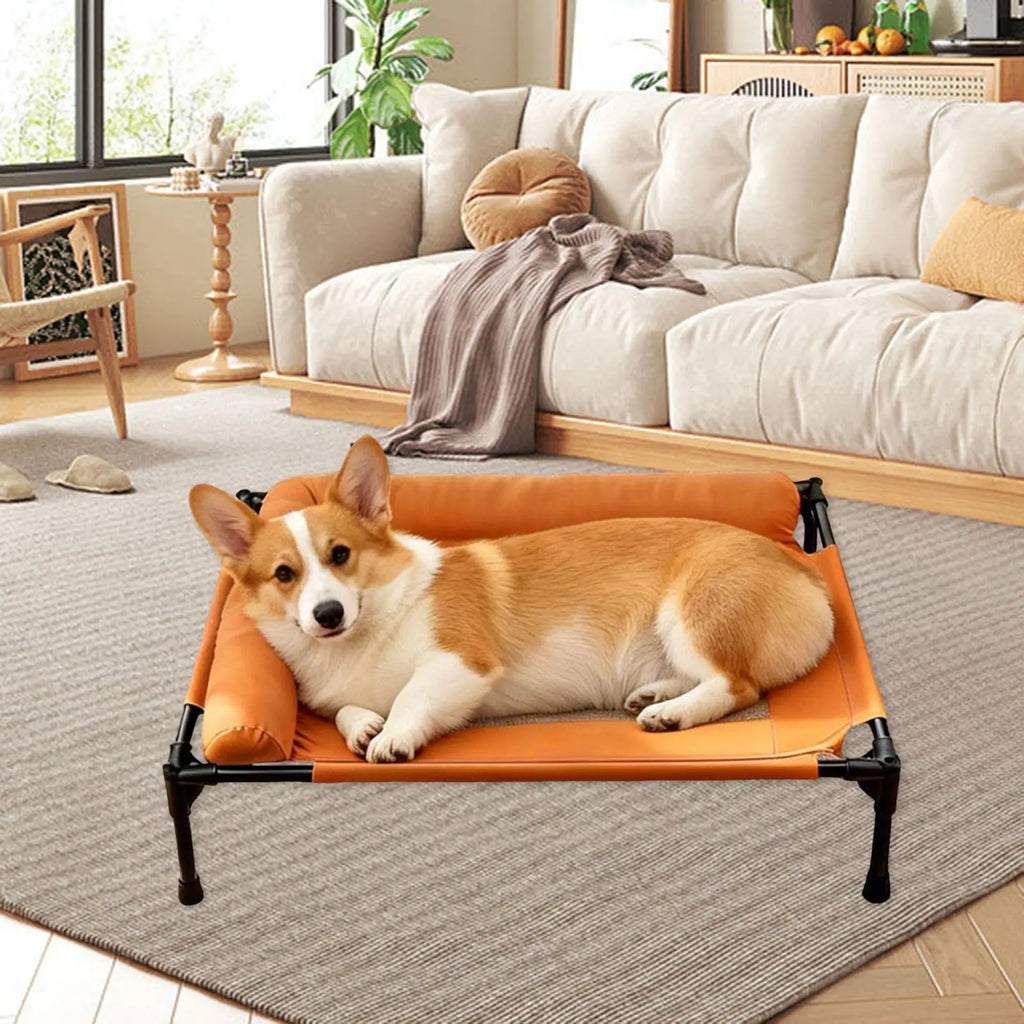 Elevated Metal Frame Pet Cot - Heavy-Duty Indoor/Outdoor Bed