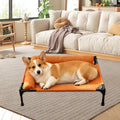 Elevated Metal Frame Pet Cot - Heavy-Duty Indoor/Outdoor Bed