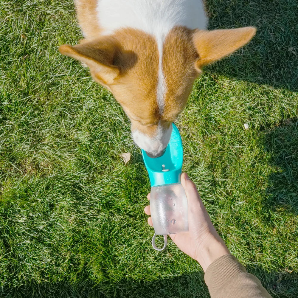 Portable Dog Water Bottle 300ml - Hiking Bowl Feeder for Dogs & Cats